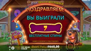 🐶 Получил бонуску The Dog House на 33 000₽ — рассказываю, как просто работать с ботом Soft Volkov AI