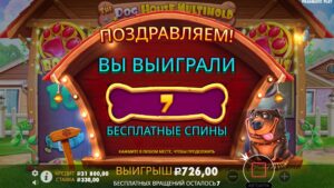 Моя новая бонуска в The Dog House за 2500 руб!